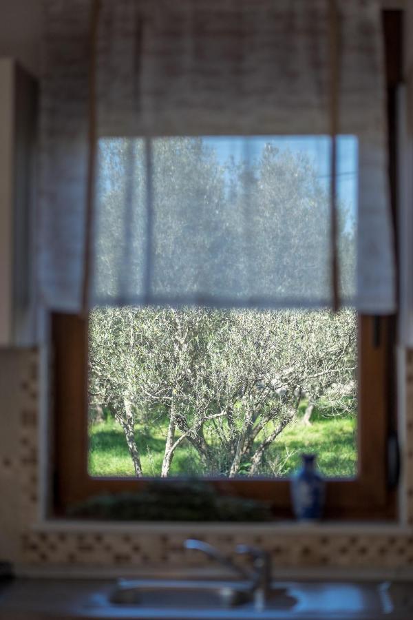 Villa Dijana West Linardići Zewnętrze zdjęcie